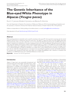 The Genetic Inheritance of the Blue
