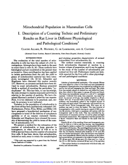 Mitochondrial Population in Mammalian Cells I