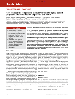 Clot contraction: compression of erythrocytes into tightly packed