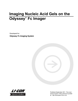 Imaging Nucleic Acid Gels on the Odyssey Fc Imager