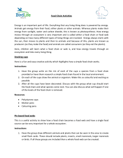 Food Chain Activities