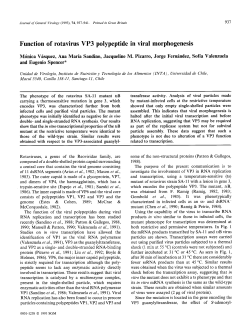Function of rotavirus VP3 polypeptide in viral morphogenesis
