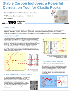 Stable Carbon Isotopes: a Powerful Correlation Tool for Clastic Rocks