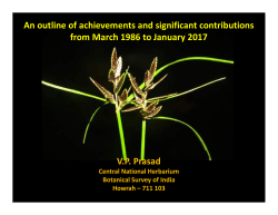 Dr. V P Prasad - Botanical Survey Of India