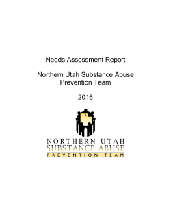 Needs Assessment Report Northern Utah Substance Abuse