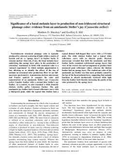 PDF - Auburn University