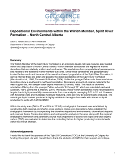 Depositional Environments within the Wilrich