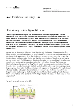 The kidneys &ndash; intelligent filtration