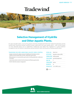 Selective Management of Hydrilla and Other Aquatic Plants.