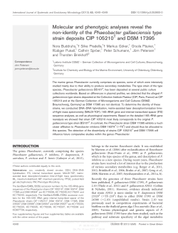 Molecular and phenotypic analyses reveal the non