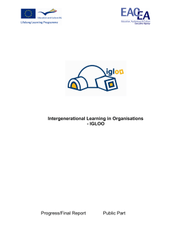 Intergenerational Learning in Organisations