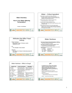 How is Your Water Affecting Fermentation