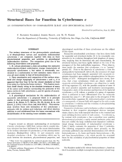 Structural Bases for Function in Cytochromes c - Beta
