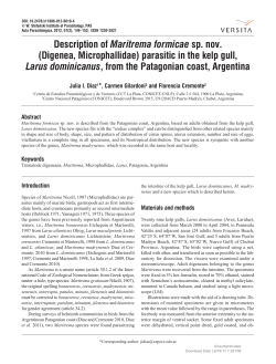 Description of Maritrema formicae sp. nov. (Digenea, Microphallidae