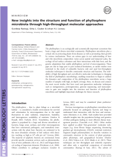 New insights into the structure and function of phyllosphere