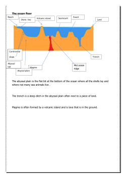The ocean floor b The abyssal plain is the flat bit at the bottom of the