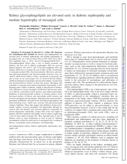 Kidney glycosphingolipids are elevated early in diabetic