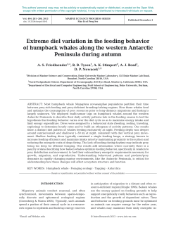 Extreme diel variation in the feeding behavior of humpback whales