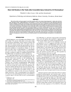 Stem Cell Kinetics in Rat Testis after Irreversible Injury Induced by 2