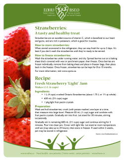 Strawberries - All Things Food / Bouffe 360
