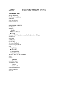 LAB VII DIGESTIVE/ URINARY SYSTEM