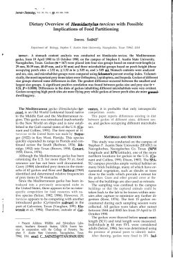 Dietary Overview of Hemidacfylus turcicus with