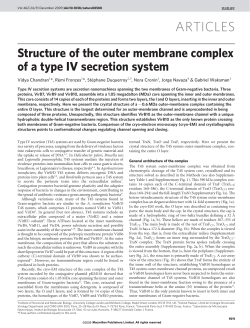 Structure of the outer membrane complex of a type IV secretion system