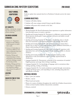 Subnivean Zone/Mystery Ecosystems