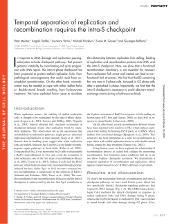 Temporal separation of replication and recombination requires the