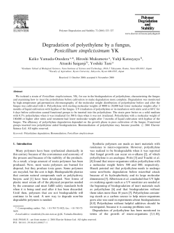 Degradation of polyethylene by a fungus, Penicillium