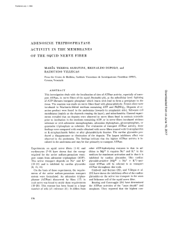 adenosine triphosphatase activity in the membranes of the squid