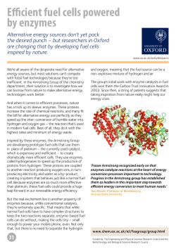 Efficient fuel cells powered by enzymes