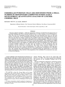 cerebellar purkinje cells are descended from a small number of