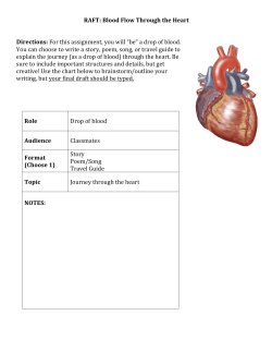 RAFT: Blood Flow Through the Heart Directions: For this assignment