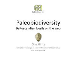 Paleobiodiversity Baltoscandian fossils on the web