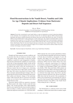Flood Reconstructions in the Namib Desert