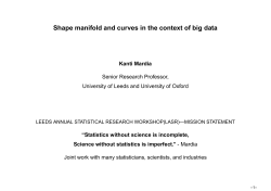 Shape manifold and curves in the context of big data