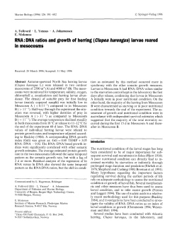 RNA:DNA ratios and growth of herring (<Emphasis Type="Italic