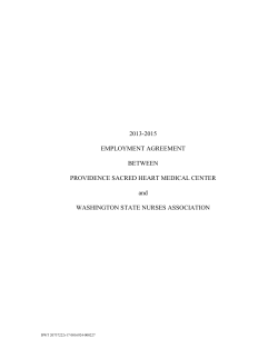 2013-2015 employment agreement between