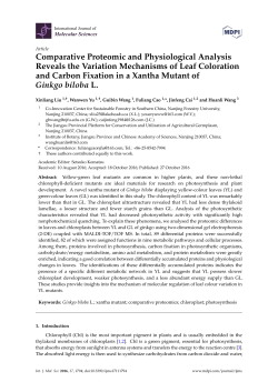 Full-Text PDF