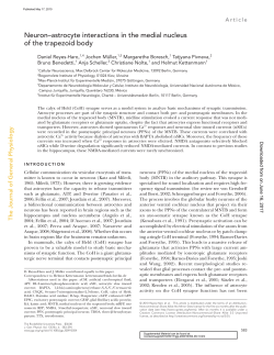 Neuron&ndash;astrocyte interactions in the medial nucleus of the trapezoid