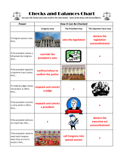 Checks and Balances Chart