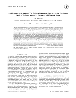 An Ultrastructural Study of The Embryo/Endosperm Interface in the