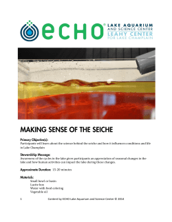 Making Sense of Seiche PDF
