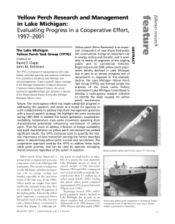 (2004). Yellow Perch Research and Management in Lake Michigan