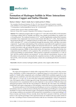 Full-Text PDF