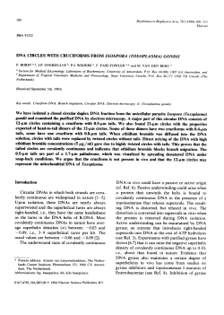 DNA CIRCLES WITH CRUCIFORMS FROM ISOSPORA