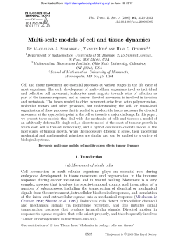 Multi-scale models of cell and tissue dynamics
