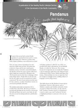 Pandanus - Pacific Community