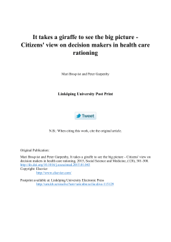 It takes a giraffe to see the big picture - Citizens` view on